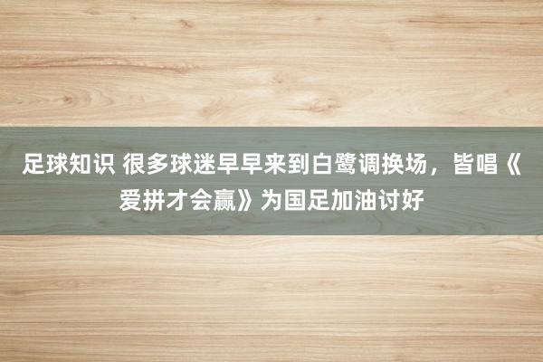 足球知识 很多球迷早早来到白鹭调换场，皆唱《爱拼才会赢》为国足加油讨好