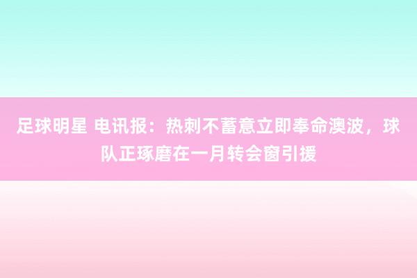 足球明星 电讯报：热刺不蓄意立即奉命澳波，球队正琢磨在一月转会窗引援