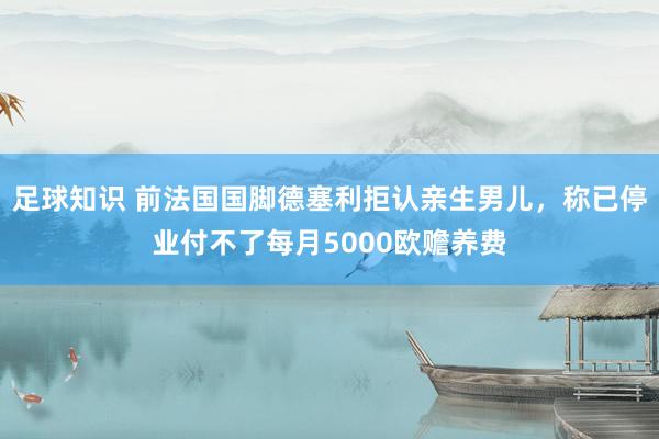 足球知识 前法国国脚德塞利拒认亲生男儿，称已停业付不了每月5000欧赡养费