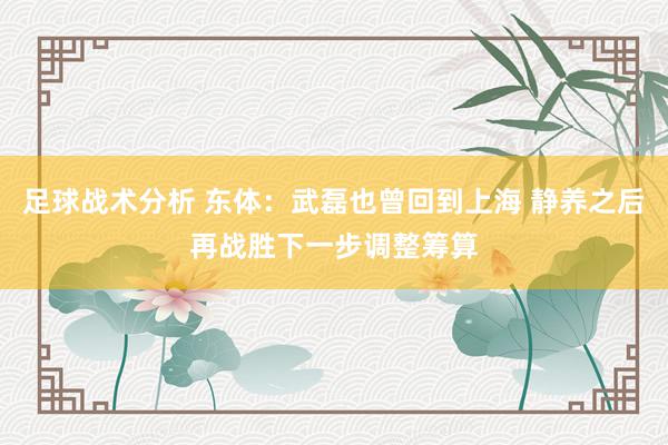 足球战术分析 东体：武磊也曾回到上海 静养之后再战胜下一步调整筹算