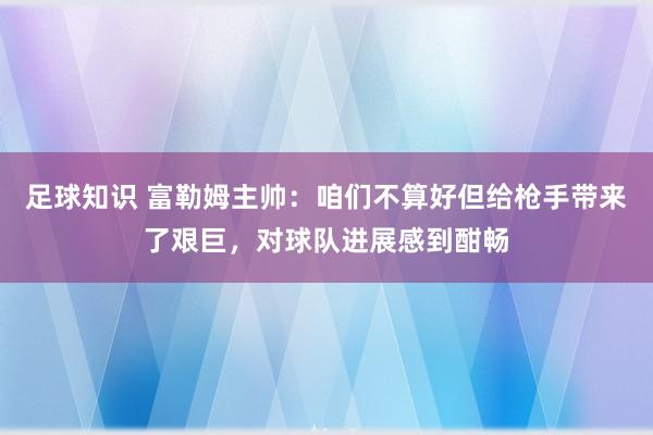 足球知识 富勒姆主帅：咱们不算好但给枪手带来了艰巨，对球队进展感到酣畅