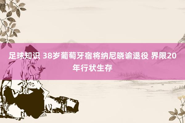 足球知识 38岁葡萄牙宿将纳尼晓谕退役 界限20年行状生存